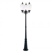 Acclaim Lighting 5369BK/WH - Acorn Collection 3 Head Combination 3-Light Outdoor Matte Black Post Light