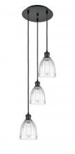 Innovations Lighting 113B-3P-BK-G442 - Brookfield - 3 Light - 12 inch - Matte Black - Cord Hung - Multi Pendant