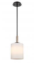 Innovations Lighting 442-1S-BK-G4421-7 - Paladin - 1 Light - 7 inch - Matte Black - stem hung - Mini Pendant