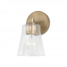 Capital 646911AD-533 - 1 Light Sconce