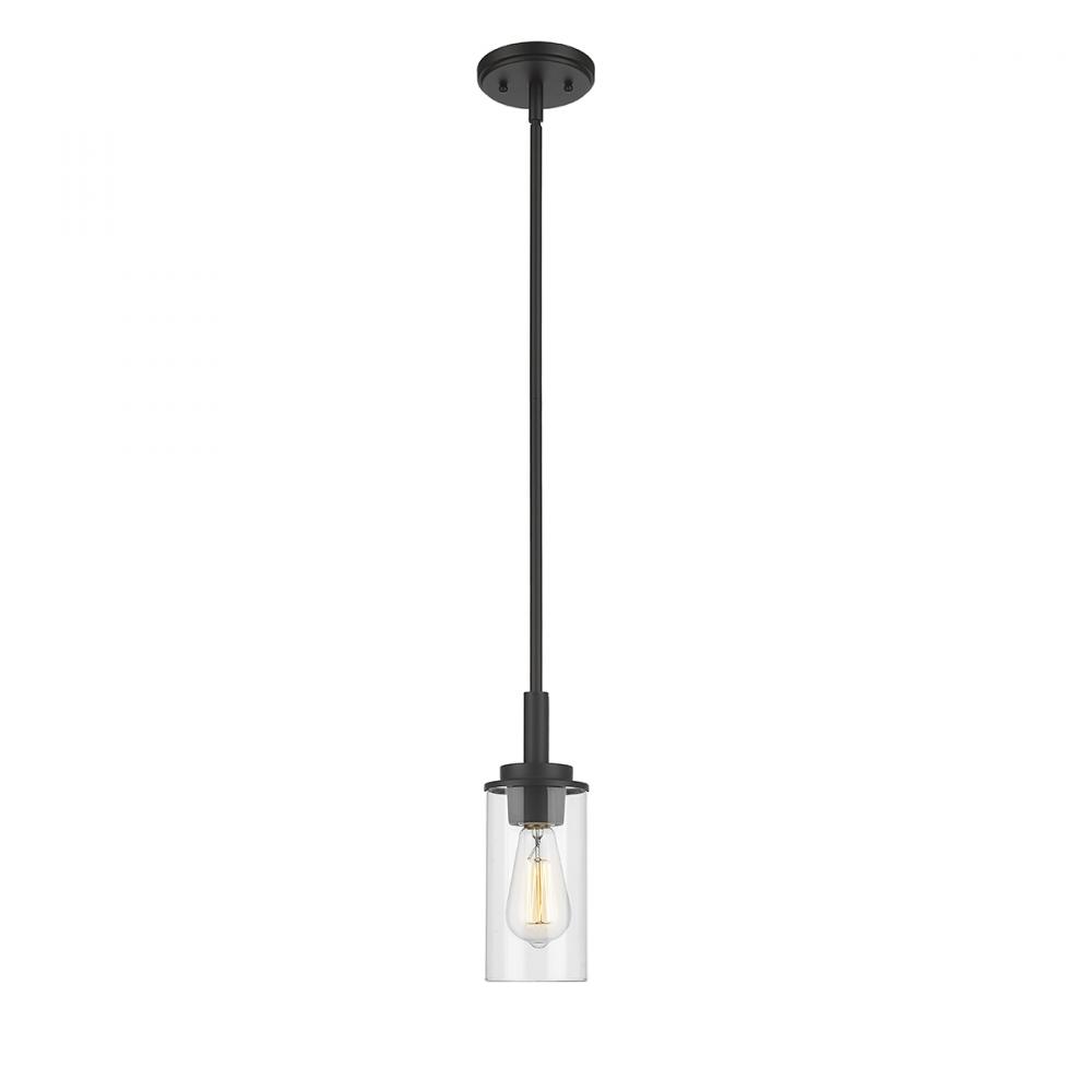 Janna 1-Light Mini-Pendant light Matte Black