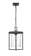 Millennium 42625-PBK - Adair 1-Light Outdoor Hanging Lantern Powder Coated Black