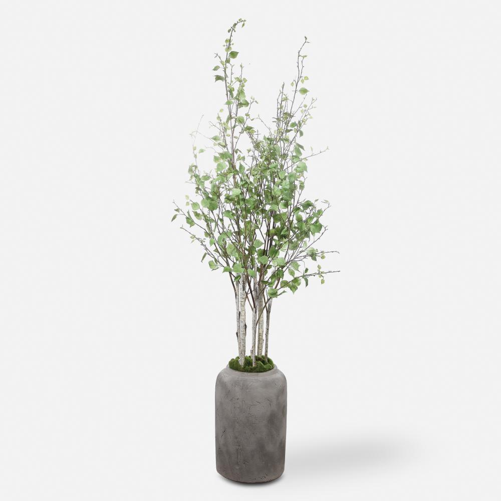 Uttermost Aldis Potted River Birch