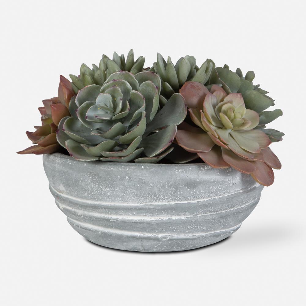 Uttermost Peoria Succulent Accent