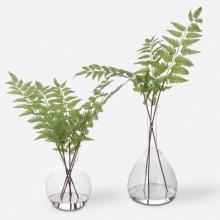 Uttermost 60202 - Country Ferns, S/2