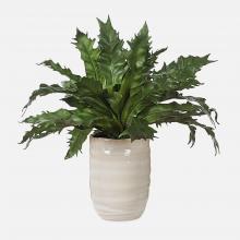 Uttermost 60229 - Uttermost Verdure Fern In Glazed Pot