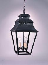 Northeast Lantern 8642-DB-MED-CLR - Hanging